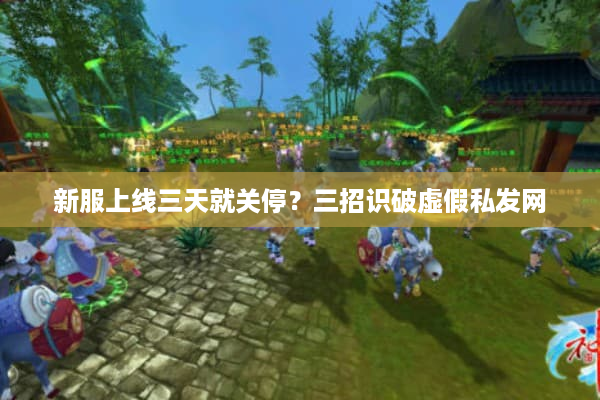 新服上线三天就关停？三招识破虚假私发网