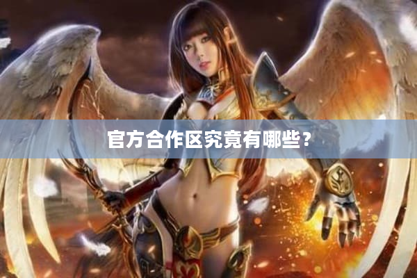 官方合作区究竟有哪些？